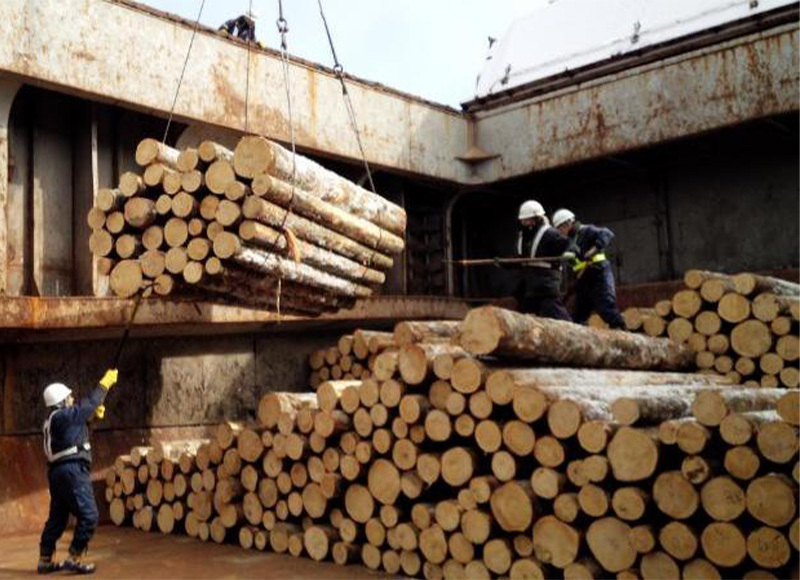 船内荷役（丸太船積み）